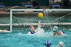 WWPolo vs CC  Wheaton College Women’s Water Polo compete in their sports inaugural match vs Connecticut College. - Photo By: KEITH NORDSTROM : Wheaton, water polo, inaugural